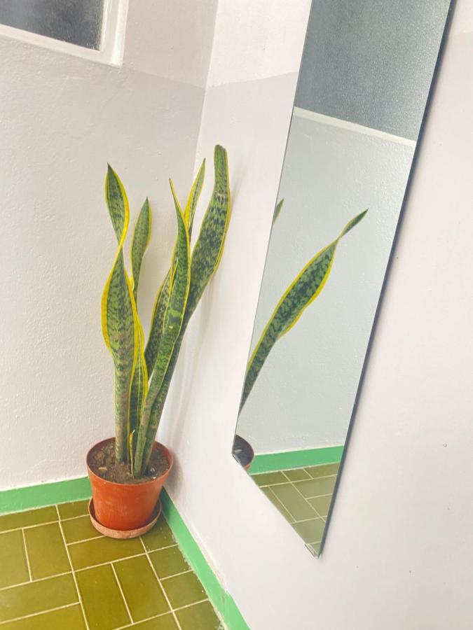 Homestay Rooms- 2 Plateau *